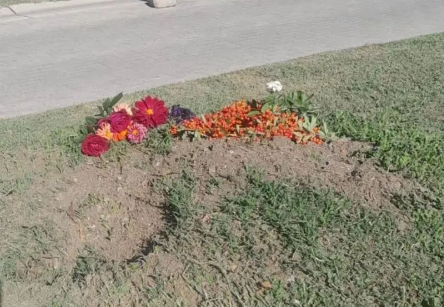Maltrato contra la fauna silvestre en Córdoba.