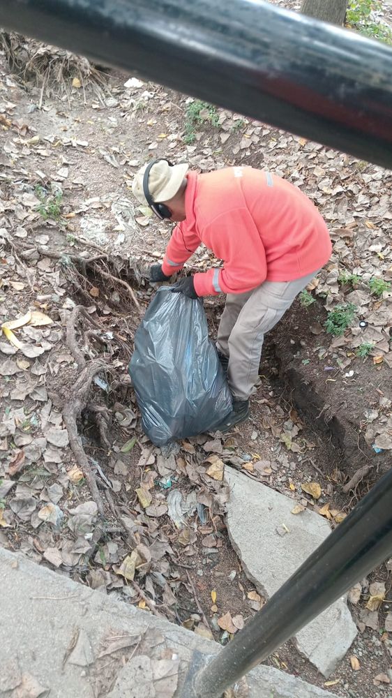 Operativos de limpieza para erradicar microbasurales en la ciudad
El Municipio intensifica tareas en espacios verdes, ríos y áreas naturales para reforzar el cuidado ambiental.