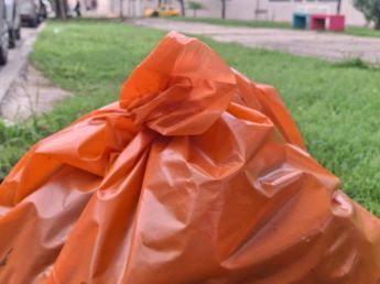 Alarma en Córdoba: denuncian la muerte de varios gatos en una plaza de barrio San Martín