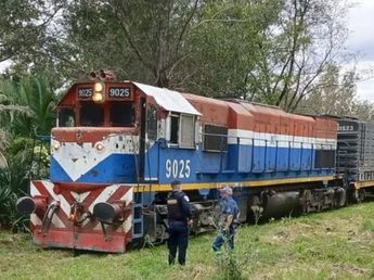 Tragedia en Córdoba: una mujer de 80 años murió tras ser embestida por un tren