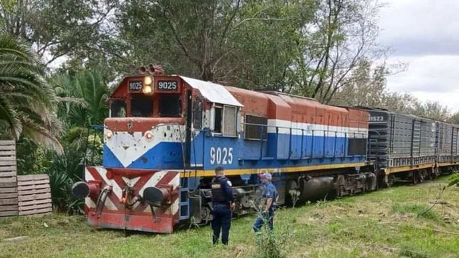Tragedia en Córdoba: una mujer de 80 años murió tras ser embestida por un tren