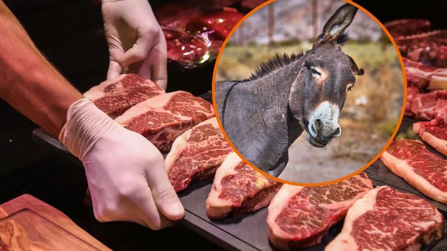 Más barata que la carne vacuna: cuánto cuesta el kilo de carne de burro