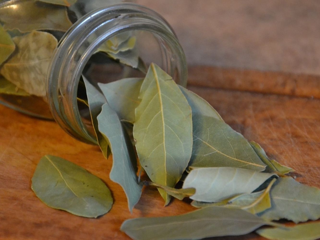 Cuales son los beneficios de hervir laurel.