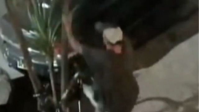 El insólito robo en pleno centro de Rosario