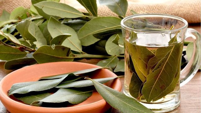 Los beneficios de hervir laurel