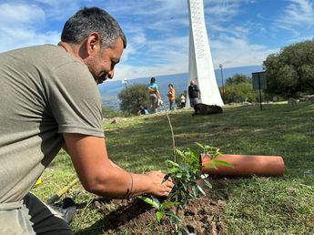 Forestación con especies nativas en el Cerro La Cruz