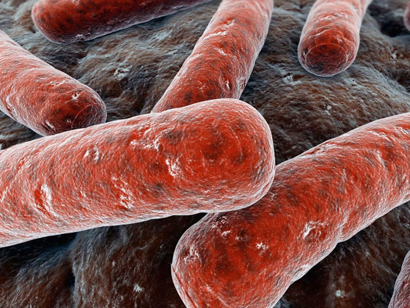 Turberculosis