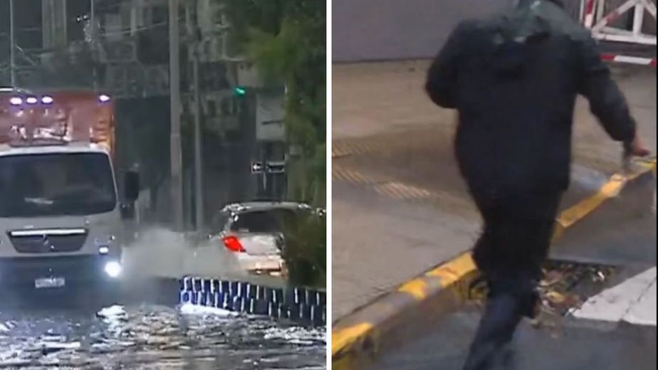 El insólito hallazgo de un periodista de TN en medio de las inundaciones: "No te lo puedo creer"