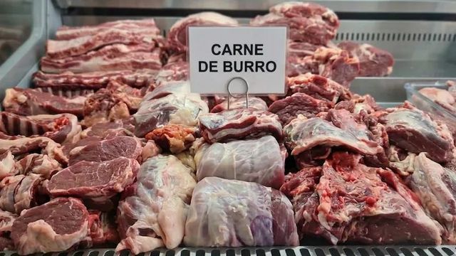 Carne de Burro