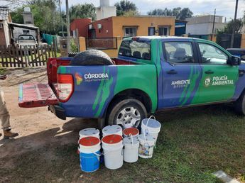 Peligro en Córdoba: hallaron una colección de serpientes venenosas y tarántulas en una casa