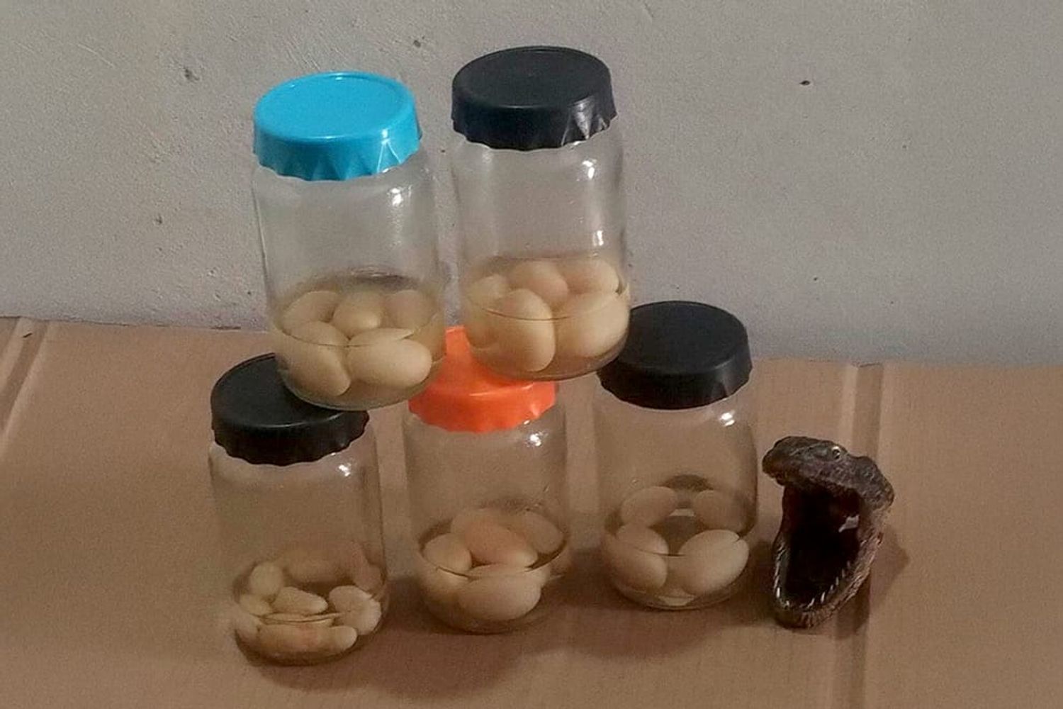Encontraron subproductos derivados de la fauna.