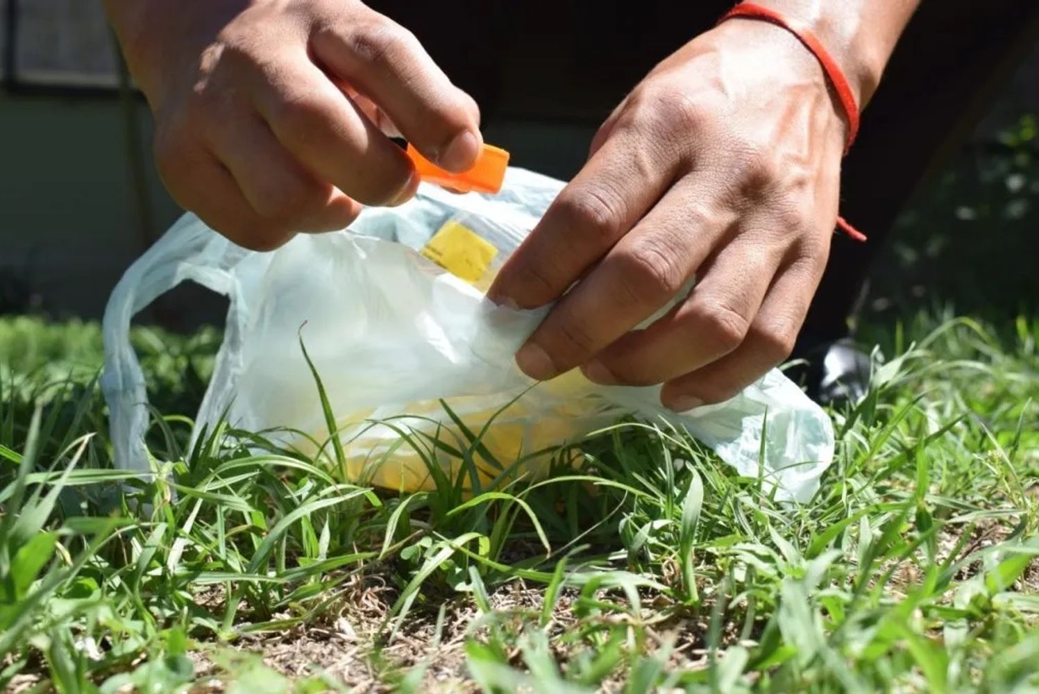 “Se debe eliminar los potenciales criaderos de mosquitos, esto es cualquier recipiente que pueda acumular agua -como las pequeñas tapas de botellas, incluso- y mantener limpios patios y jardines. También, evitar las picaduras usando repelente y en lo posible, ropa con mangas largas”, aconsejan las autoridades sanitarias en Jujuy.