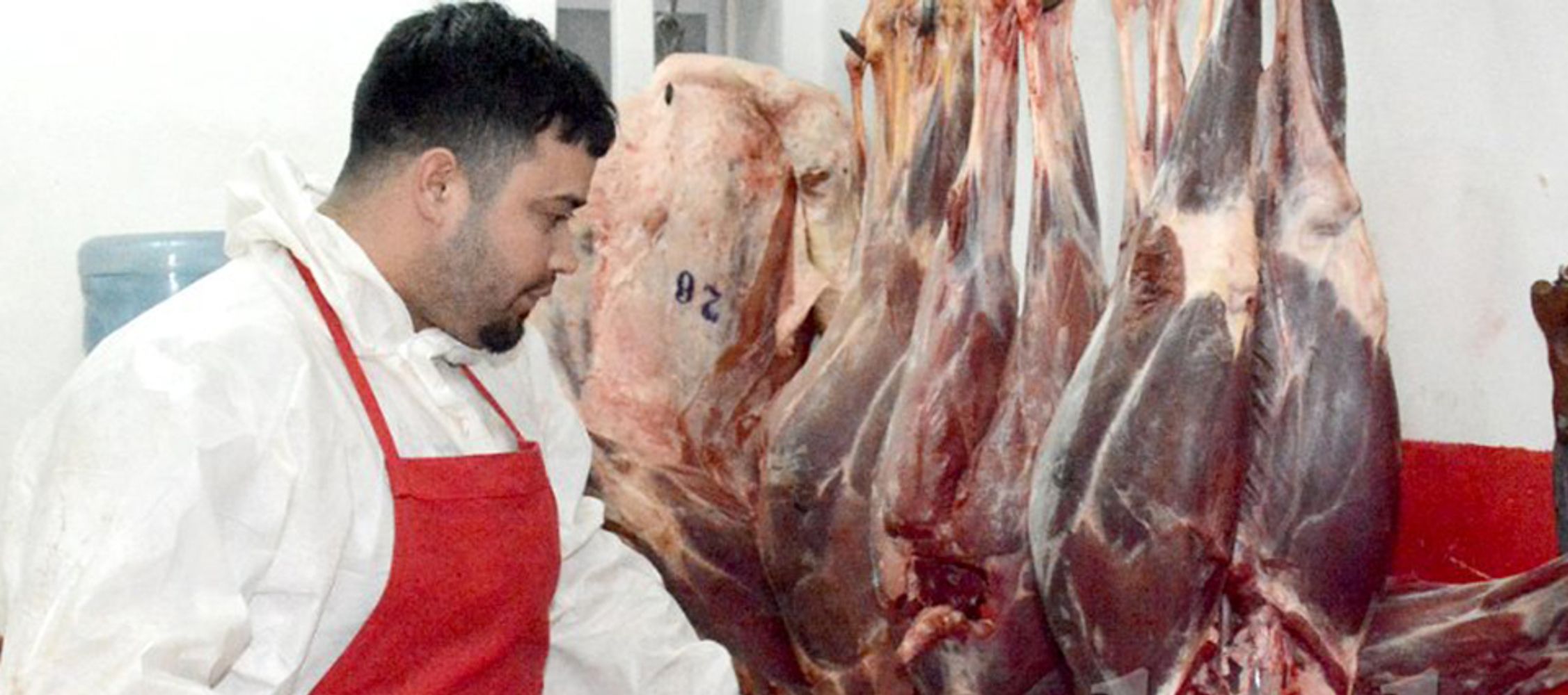 Carne de guanaco.