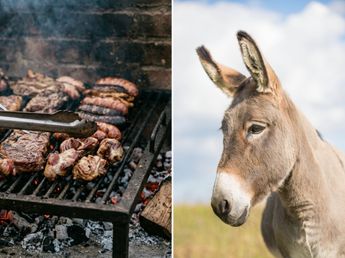 Fue a comer a la parrilla donde venden carne de burro y mostró su verdadera experiencia: a qué sabe