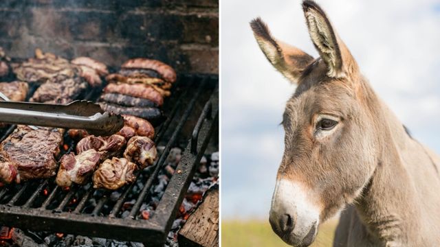 Fue a comer a la parrilla donde venden carne de burro y mostró su verdadera experiencia