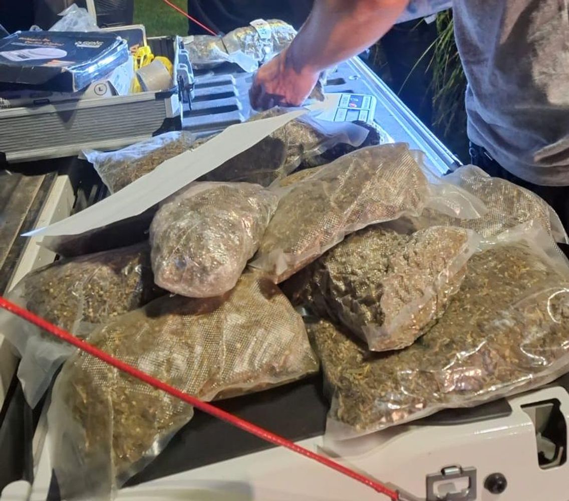 Las drogas incautadas.