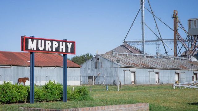 Murphy