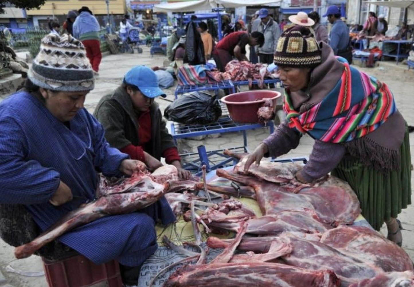 ¿Carne de burro o de llama? El tesoro culinario del Norte argentino que rompe prejuicios y ya es tendencia