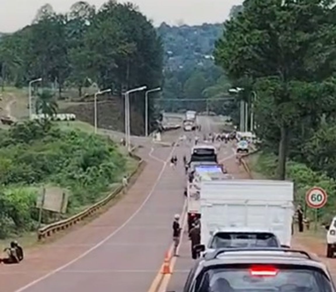 Crisis yerbatera en Misiones: productores y tareferos cortan rutas por bajos precios y salarios.