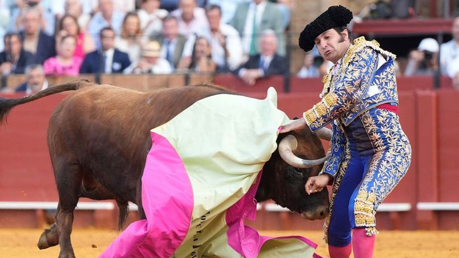 Reconocido torero sufrió una cornada muy grave y debieron reconstruirle el esfínter: "Un dolor inmenso"