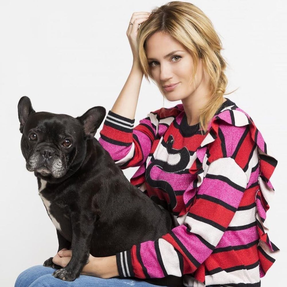 Moro, el perro de Paula Chaves y Pedro Alfonso