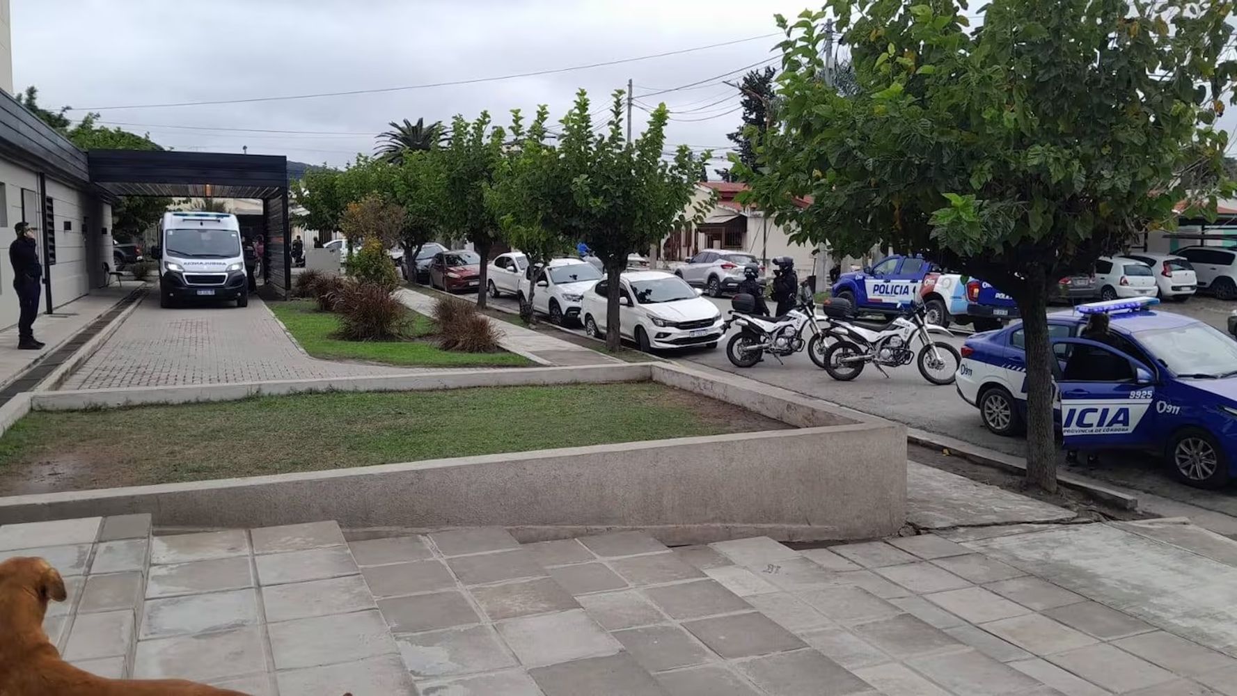 El operativo policial.