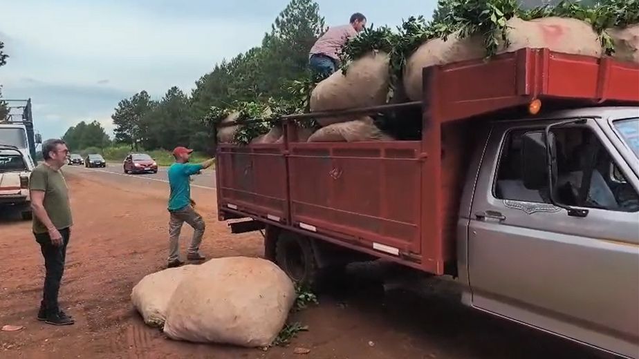 Crisis yerbatera en Misiones: productores y tareferos cortan rutas por bajos precios y salarios.