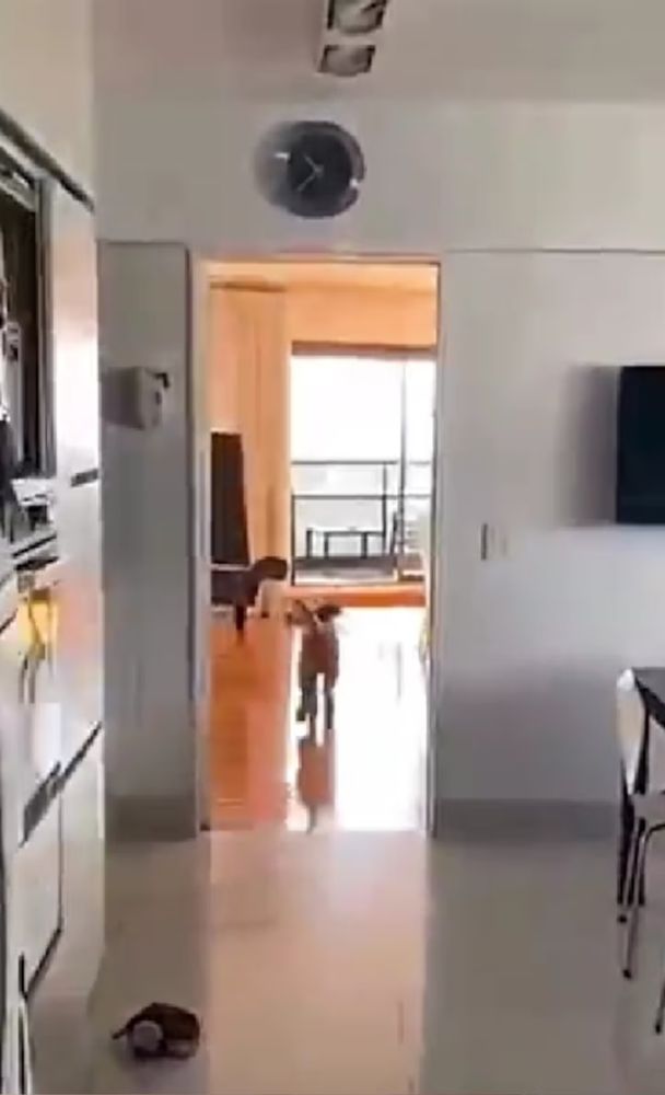 Se filtraron fotos de la casa de Guillermo Francella
