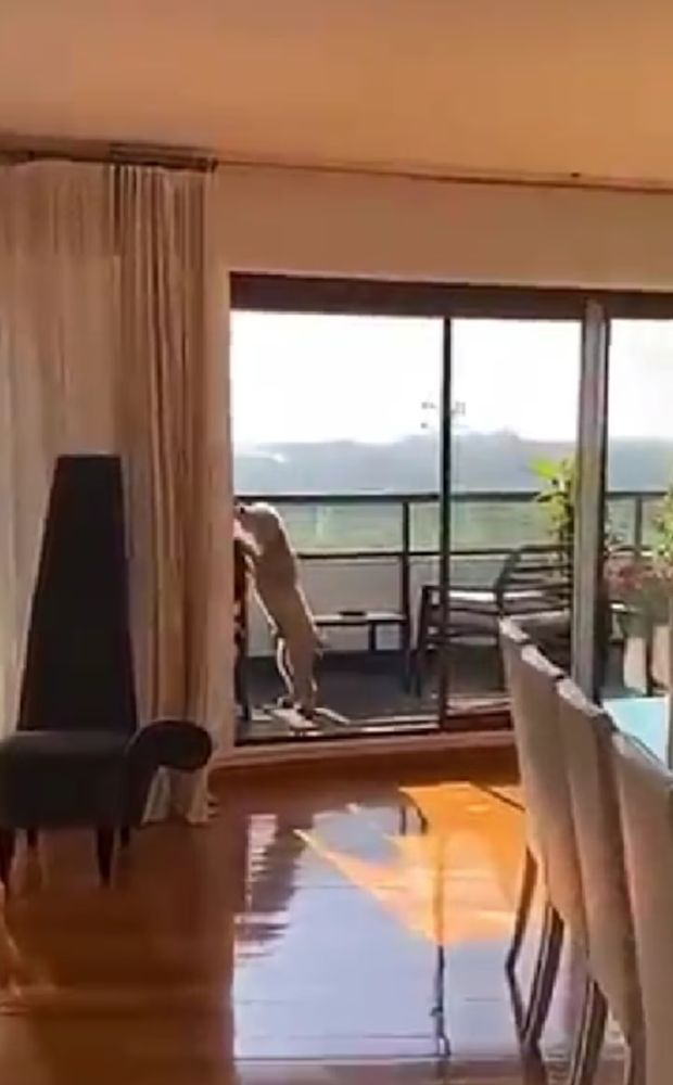 Se filtraron fotos de la casa de Guillermo Francella