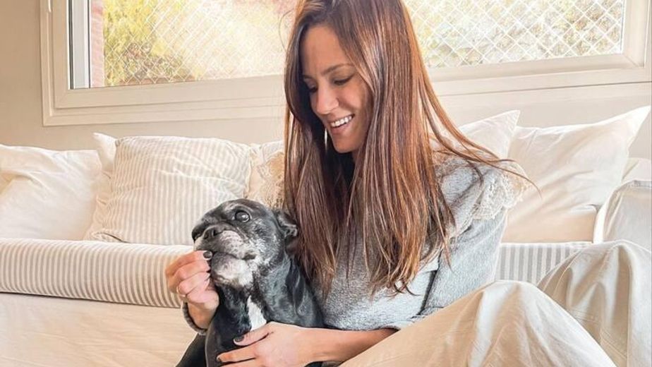 Paula Chaves estaba recordando a su perro Moro y pasó algo inesperado: "¿Puedo agarrar todo como una señal?"