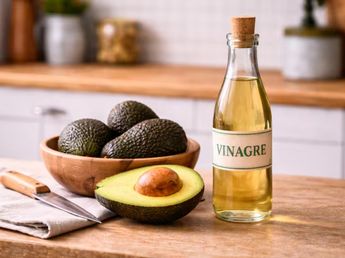 El truco casero con cáscara de palta y vinagre que recomiendan para las plantas: para qué sirve