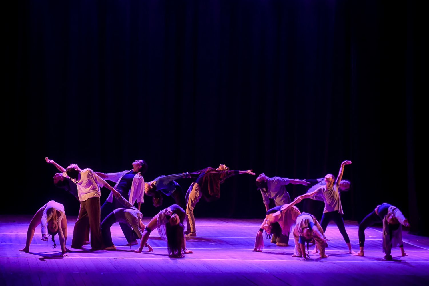 Danza ER