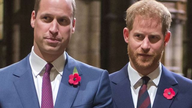 principe Guillermo y Harry