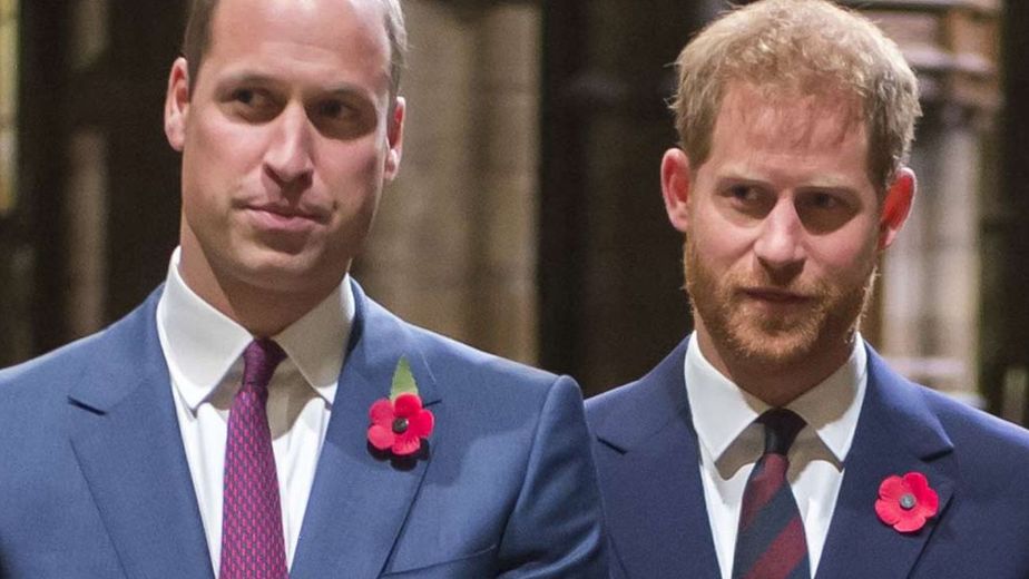 principe Guillermo y Harry