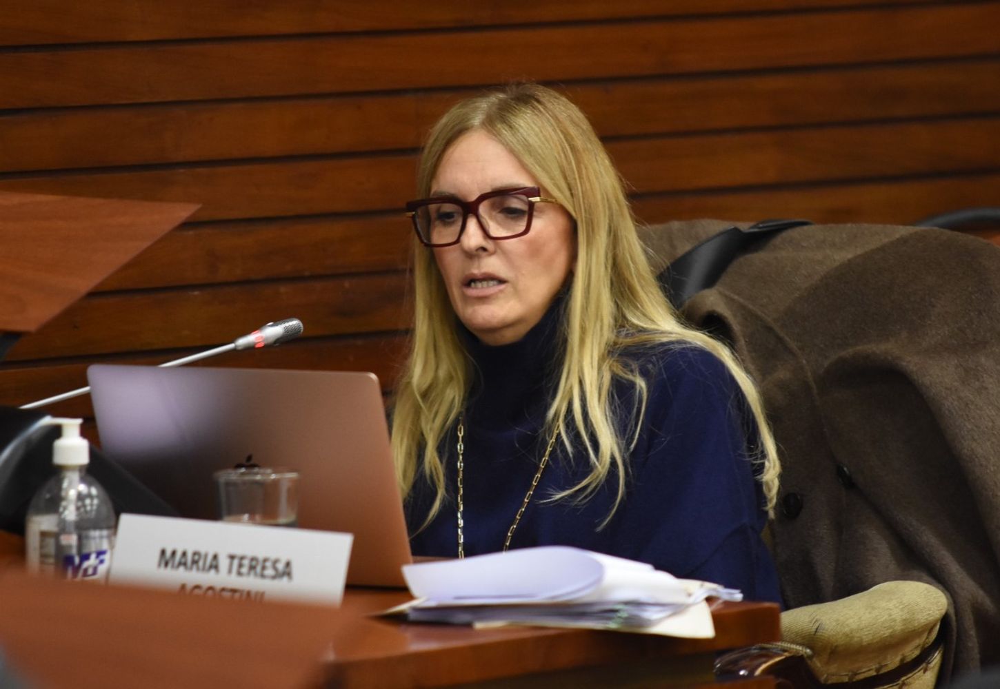La diputada María Teresa Agostini, del bloque Jujuy Crece, defendió este jueves en el recinto de la Legislatura el proyecto del Poder Ejecutivo que finalmente fue aprobado y sancionado como ley nº 6.500.