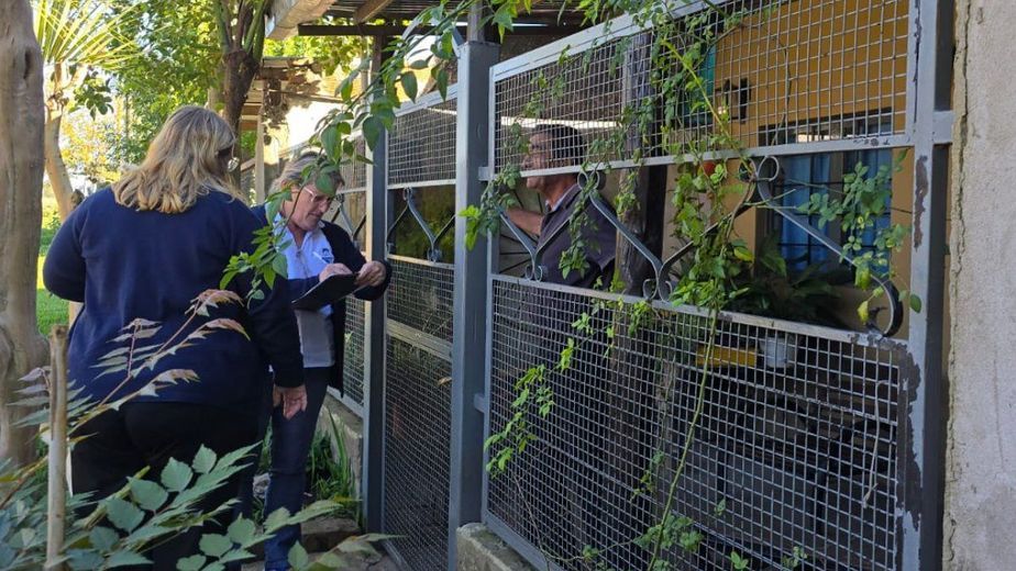 Refuerzan la protección de la niñez con operativos casa por casa y foco en derechos básicos