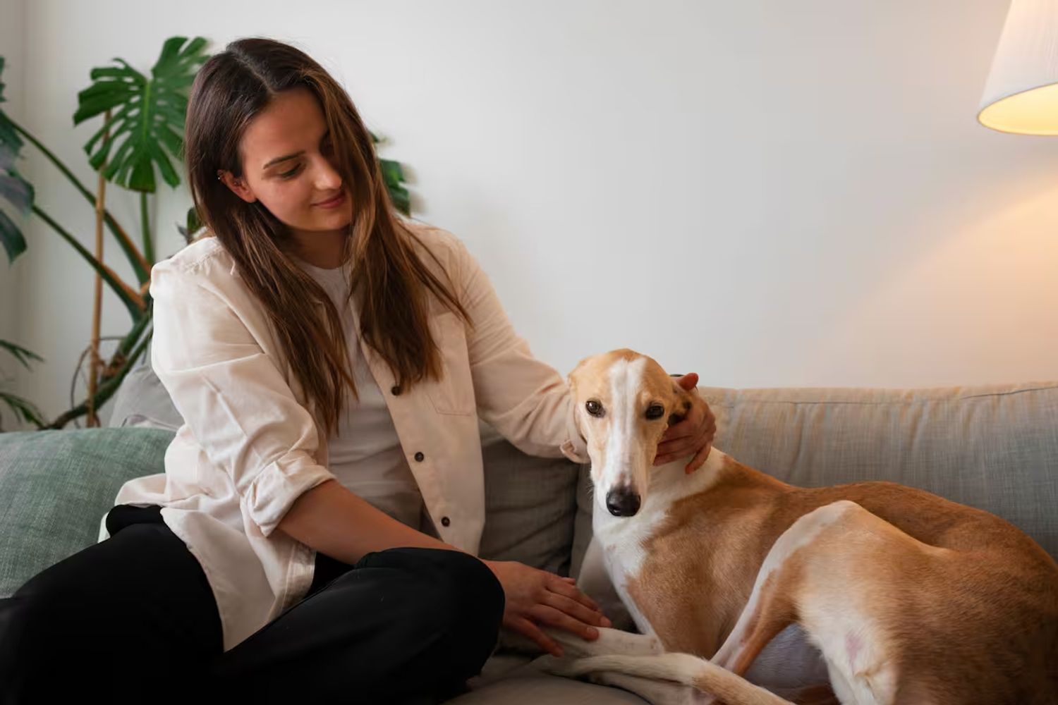 Qué dice la psicología sobre despedirse de tu mascota cuando salís de tu casa.