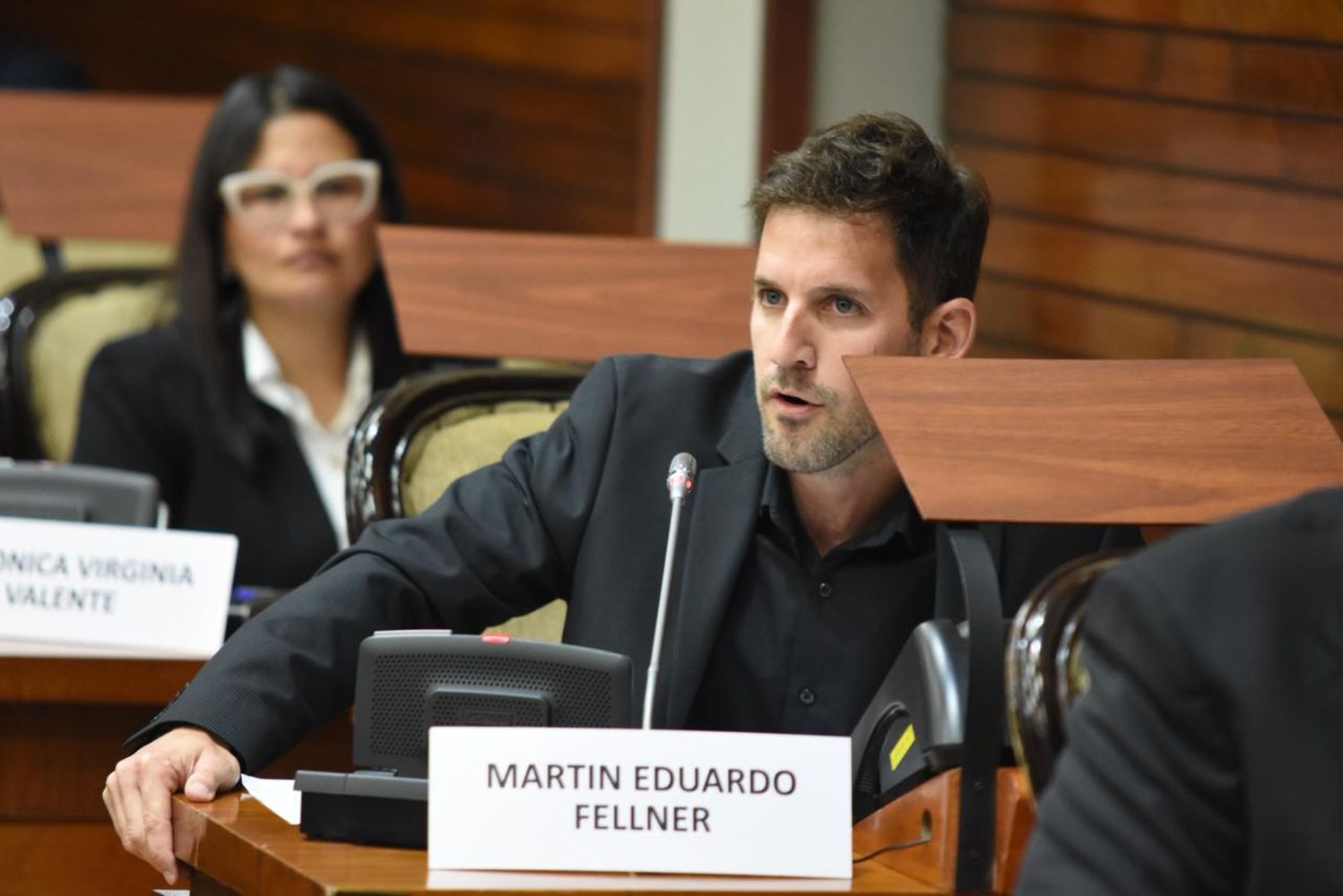 El diputado provincial Martín Fellner, de la bancada justicialista, explicó su acompañamiento al proyecto de Ley de Fomento a Grandes Inversiones (FOGIN), pero advirtió sobre sus límites.