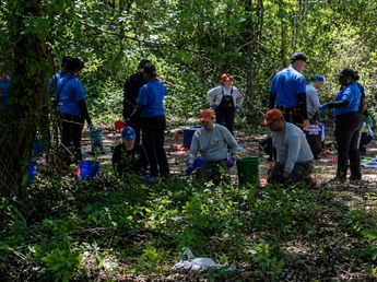 Impactante hallazgo en un bosque: encontraron los cráneos de tres nenes tras una alerta que dio inicio a una investigación policial
