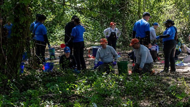 Impactante hallazgo en un bosque: encontraron los cráneos de tres nenes tras una alerta que dio inicio a una investigación policial.