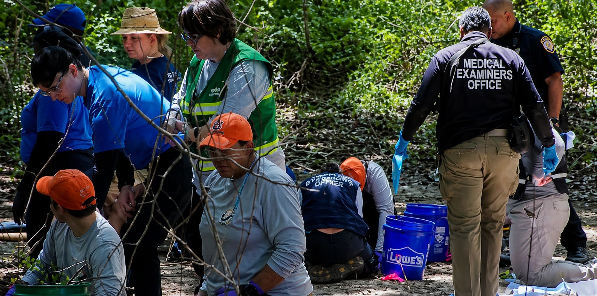 Impactante hallazgo en un bosque: encontraron los cráneos de tres nenes tras una alerta que dio inicio a una investigación policial.