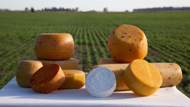 Ni Tigre ni Areco: el pueblo secreto a 1 hora de Buenos Aires ideal para comer los mejores quesos de campo