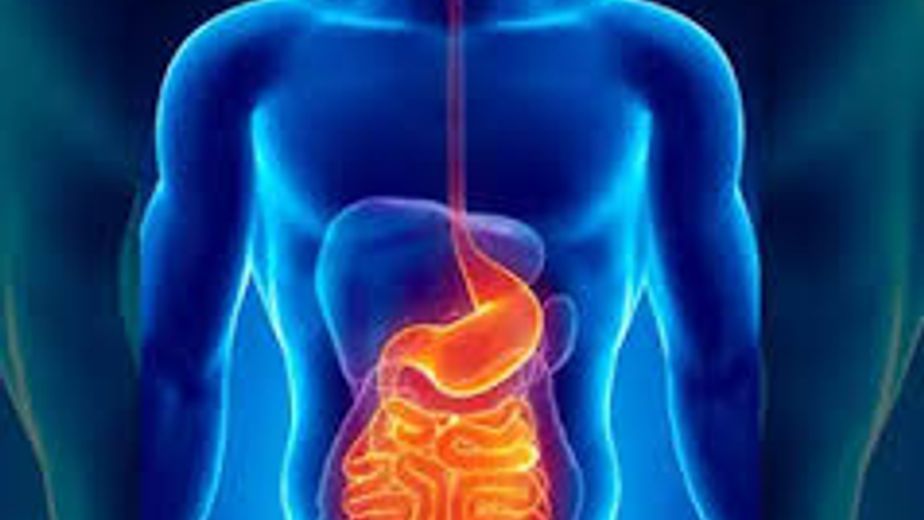 Problemas digestivos: Salud recuerda la importancia de la consulta temprana