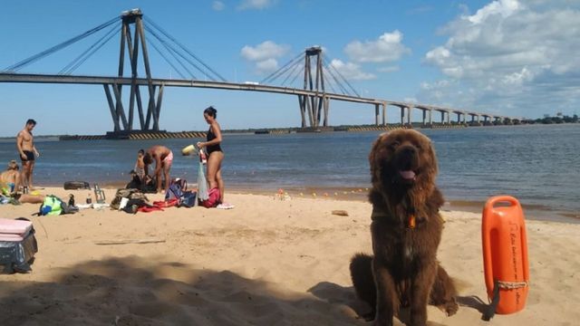 Rosario habilitó el ingreso de mascotas a La Florida