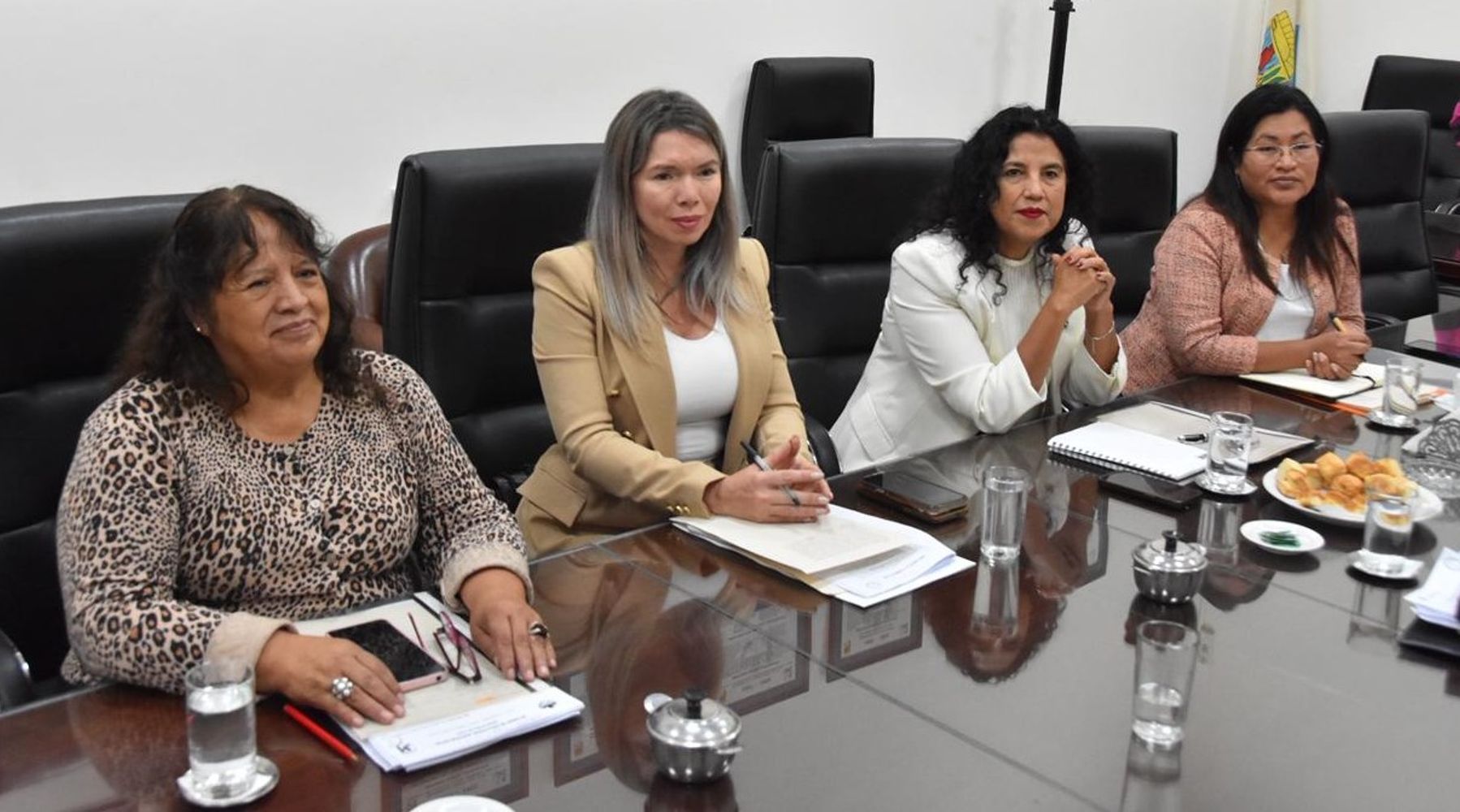 La presidenta de la comisión de Ambiente, Daniela Vélez (segunda desde la izquierda), presentó a la ingeniera Pizarro en el inicio de la reunión.