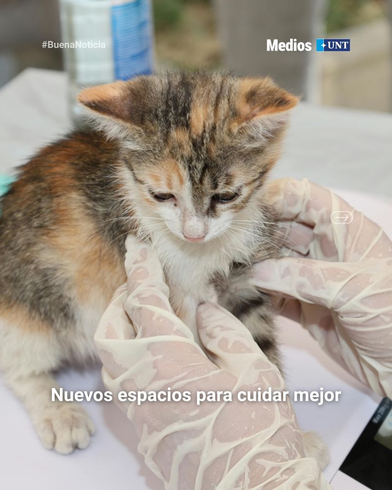Clinica canina y felina