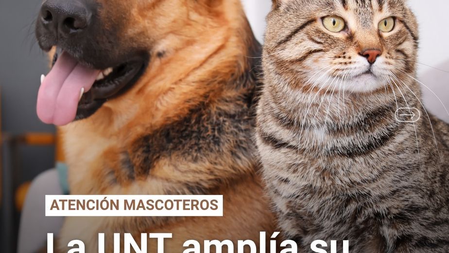 Nuevos espacios en el Hospital Escuela de Veterinaria de la UNT