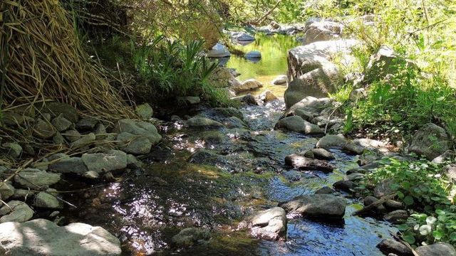Cinco rincones ocultos de Punilla para escaparse este domingo de otoño