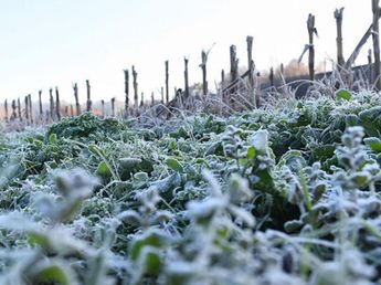 Con -3 °C, llegó la primera helada a Córdoba: los 20 lugares con temperaturas bajo cero