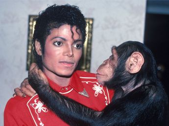 ¿Está vivo o muerto? La verdad oculta sobre Bubbles, el chimpancé de Michael Jackson, que nadie esperaba